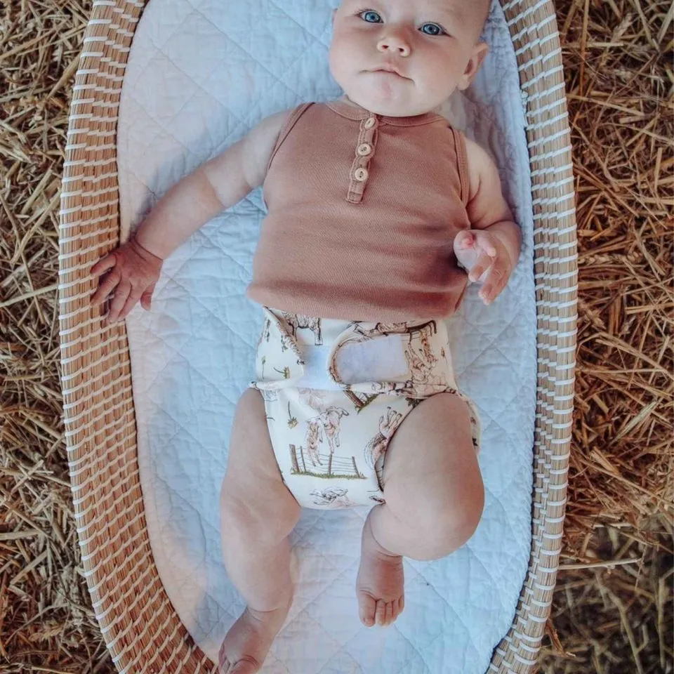 Bamboo Fitted Nappy and Wrap Trial Bundle