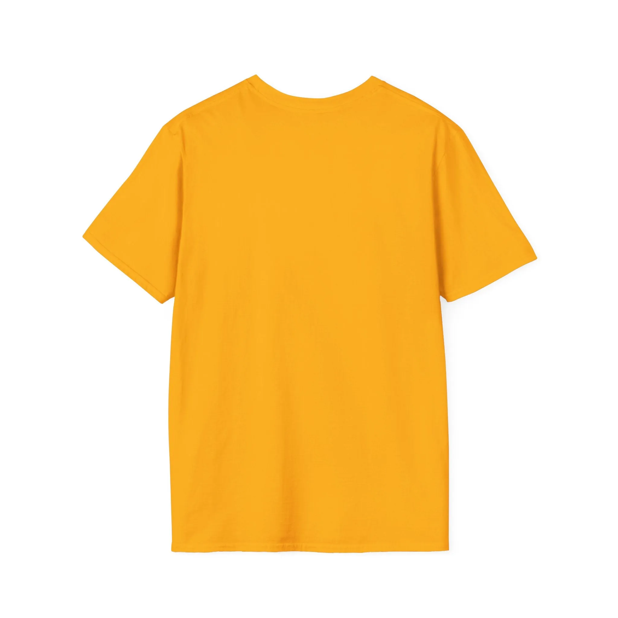 Broken Record Unisex Softstyle T-Shirt