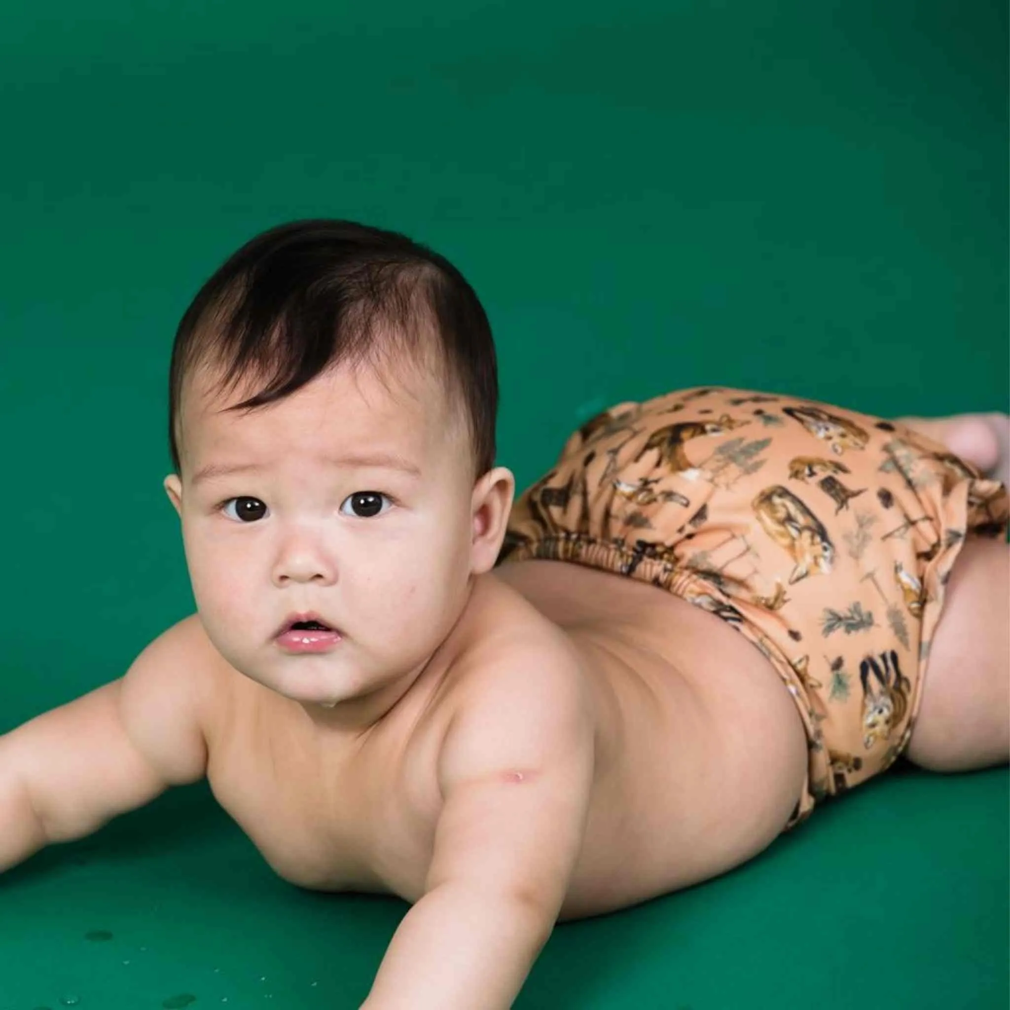 Cotton Fitted Nappy and Wrap Trial Bundle