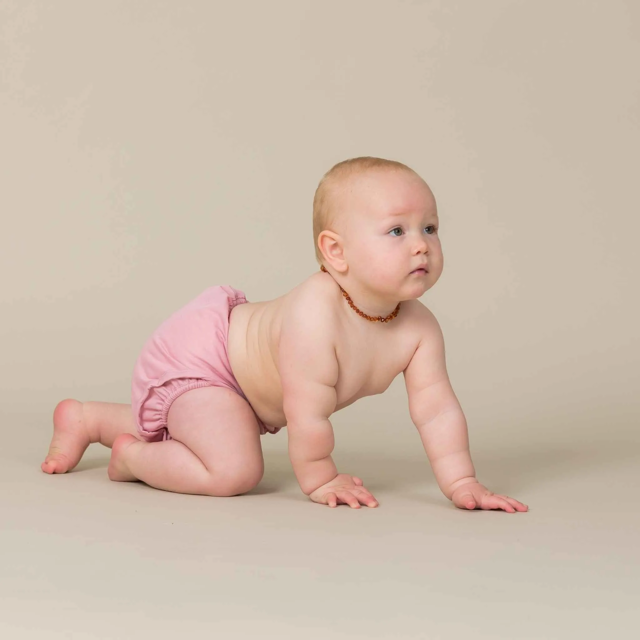 Cotton Fitted Nappy and Wrap Trial Bundle