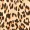 Leopard Print Jumpsuit With Knot Front Detail